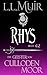 Rhys: Ein schottischer Zeitreise-Liebesroman (Die Geister von Culloden Moor 42) (German Edition)