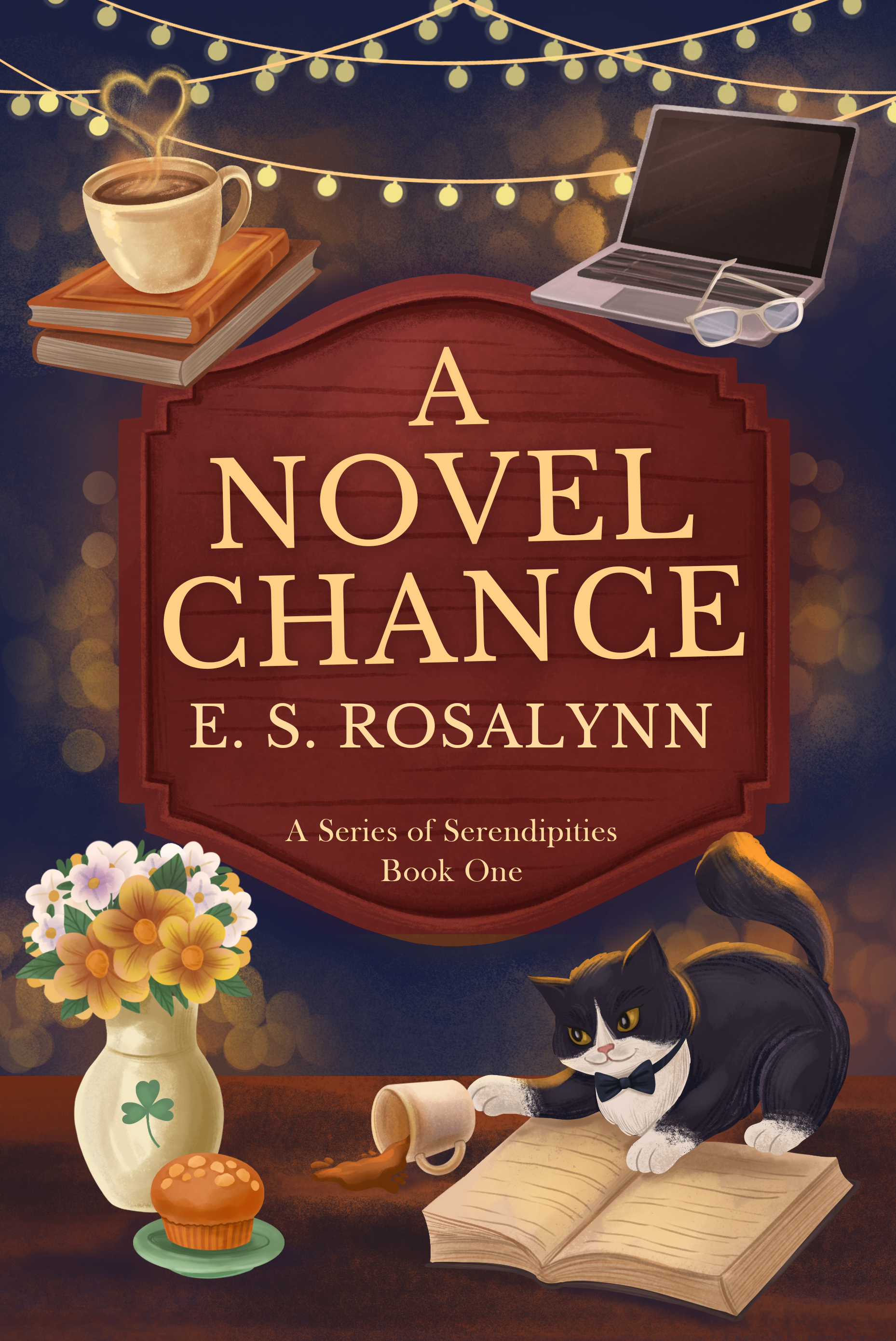 A Novel Chance (A Series of Serendipities, #1)
