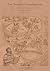The Brainrot Metamorphoses:...