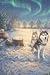 Dogs Revealed: Christmas Gi...