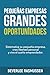Pequeñas Empresas, Grandes ...