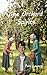 The Orchard Spirits