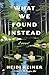 What We Found Instead