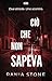 Ciò Che Non Sapeva