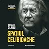 Spațiul Celibidache by Stejarel Olaru