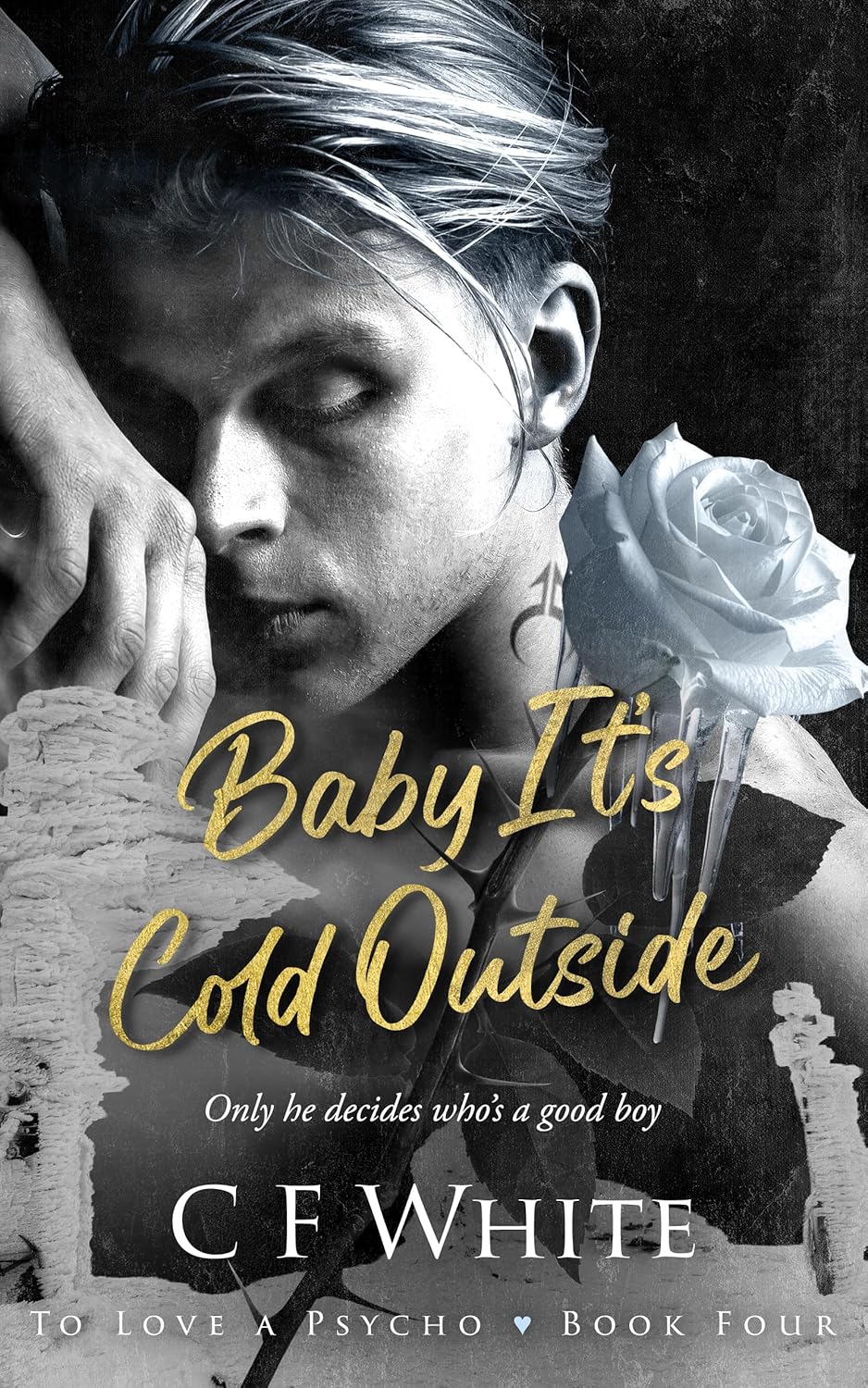 Baby It's Cold Outside (To Love a Psycho #4)