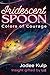 Iridescent Spoon by Jodee Kulp
