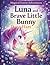 Luna and the Brave Little B...