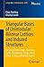 Triangular Bases of Unimodular Bilinear Lattices and Induced Structures: Automorphism Groups, Vanishing Cycles, Monodromy Groups, Braid Group Actions ... Spaces (Lecture Notes in Mathematics, 2398)