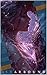 Starbound (Grand Blooming B...