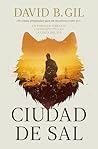 Ciudad de sal