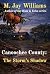 Canoochee County: The Storm...