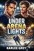 Under Arena Lights: MM Hockey Romance