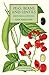 Peas, Beans and Lentils: Growing & Cooking (English Kitchen)