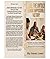 JOSE THE UNTOLD HEROIC IMPOSSIBLE VICTORY: The Primary Subtitle: Overcoming a Toxic dominant culture of Polygamy Marriage, Hurtful Parenting, and Secret Mistresses to freedom