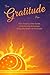 The Gratitude Plan by Ree Boo