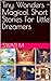 Tiny Wonders - Magical Short Stories For Little Dreamers