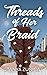 Threads of Her Braid