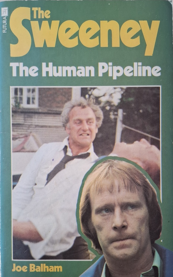 The Human Pipeline (The Sweeney #5)