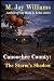 Canoochee County: The Storm...