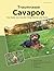 Traumrasse Cavapoo: Das Beste aus Cavalier King Charles Spaniel und Pudel (German Edition)