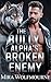 The Bully Alpha’s Broken Enemy: A Dark MM Shifter Academy Romance (Savage Alpha Bonds Book 3)