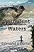 Turbulent Waters