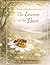 The Lesson Of The Bees: A Parable Of Meaning And Purpose