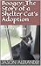 Boogey: The Story of a Shelter Cat's Adoption: Based on a True Story