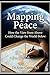 Mapping Peace: How the View from Above Could Change the World Below