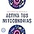 Activa tus mitocondrias: El secreto para una vida más longeva