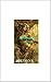 The Storyteller's Amulet: The Dark Stranger (Book 2 of 3) (The Dark Stranger Series)