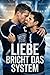 LIEBE BRICHT DAS SYSTEM (German Edition)
