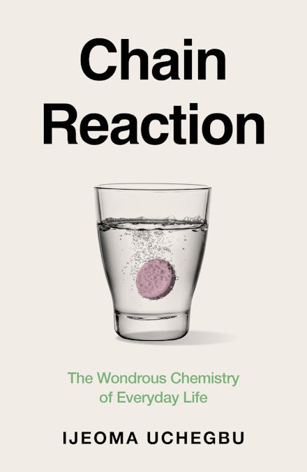 Chain Reaction: The Wondrous Chemistry of Everyday Life (Kindle Edition)