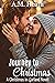 Journey to Christmas (Chris...