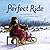 The Perfect Ride