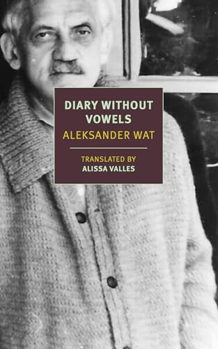 Diary Without Vowels (Paperback)