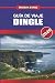 GUÍA DE VIAJE DINGLE 2026: ...