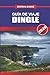 GUÍA DE VIAJE DINGLE 2026: Descubre joyas ocultas, monumentos históricos, consejos de viaje y experiencias vacacionales inolvidables (Spanish Edition)