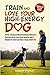 Train and Love Your High-Energy Dog by Summer Fitchley