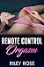 Orgasmo a Control Remoto (Orgasmo por Control Remoto nº 1) (Spanish Edition)