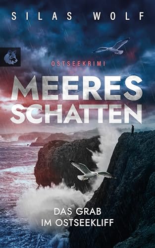 Meeresschatten - Das Grab im Ostseekliff: Küstenkrimi - Ostseekrimi (Sönke Petersen ermittelt 5) (German Edition)