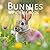 Bunnies Picture Book: A Beautiful Bunny Picture Book for Rabbit Lovers, Seniors, Kids & Coffee Table Display 8.5 x 8.5 Softcover No Text Magnificent Bunnies