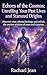 Echoes of the Cosmos: Unveiling Your Past Lives and Starseed Origins