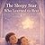 The Sleepy Star Who Learned to Rest: A Calming Bedtime Story for Little ones