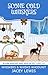 Scone Cold Whiskers: Scone Baking and Rescue Pet Cozy #1