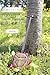 My Journey to the Sanshin The Connections Woven by the Sanshin (Japanese Edition)