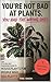 Houseplants for People Who Kill Plants: Low-Maintenance Indoor Plant Guide for Renters, and Beginners