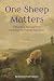 One Sheep Matters: A Practical Approach for Rescuing the Wandering Sheep