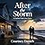 After the Storm: A Harbor Point Love Story
